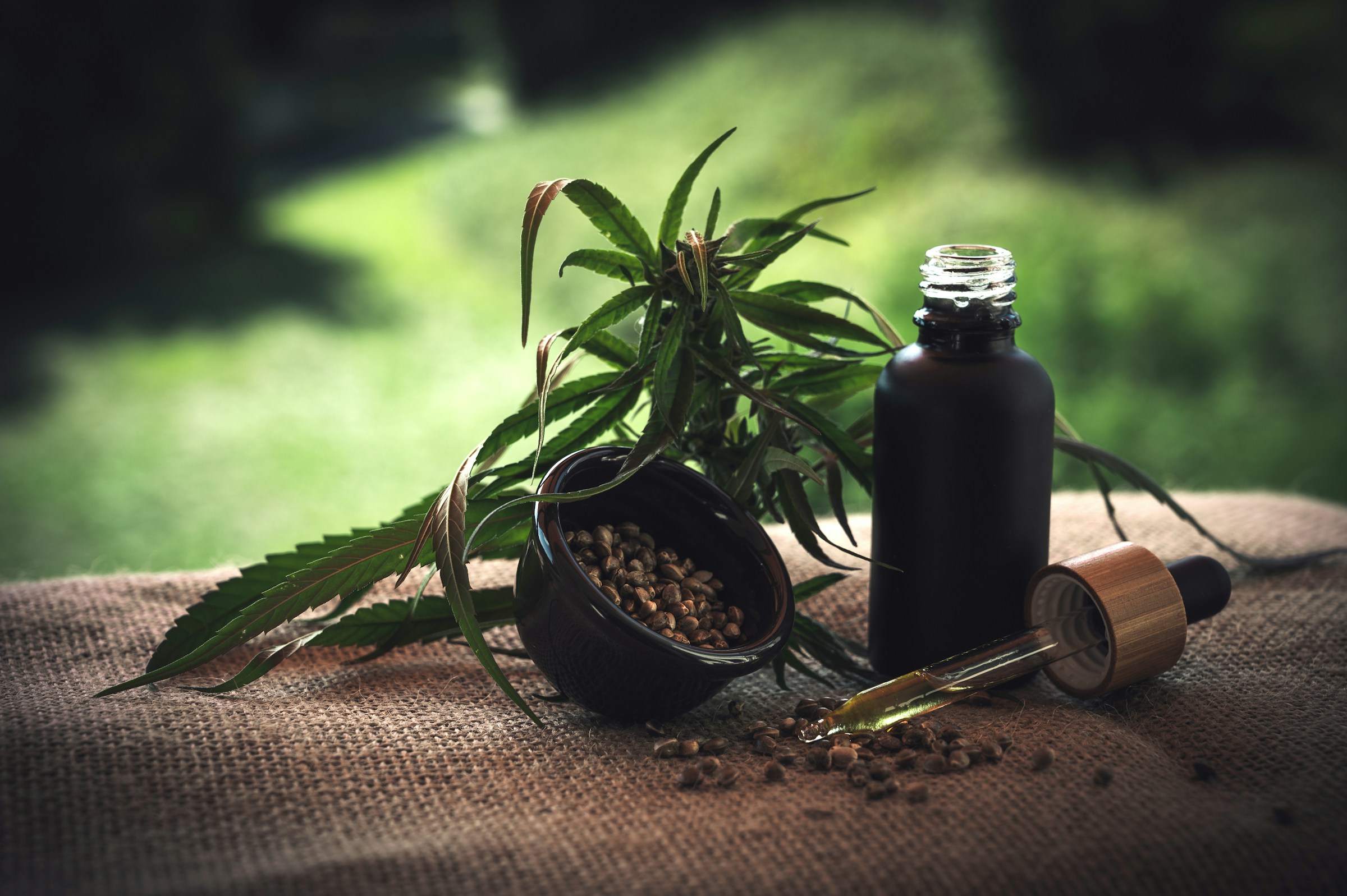 Natural parasite cleanse ingredients